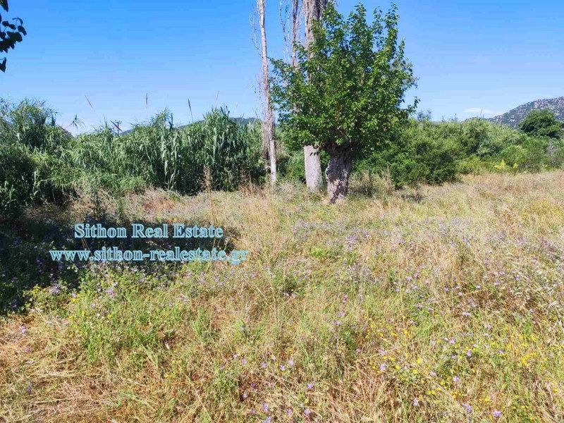 Αγροτεμάχια 1.770 τ.μ. πρός πώληση, Χαλκιδική, Τορώνη