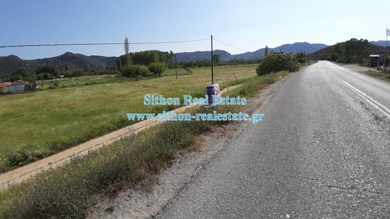 Αγροτεμάχια 2.658 τ.μ. προς πώληση, Συκιά Τορώνης