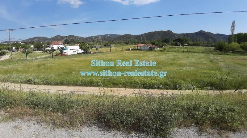 Αγροτεμάχια 2.658 τ.μ. προς πώληση, Συκιά Τορώνης