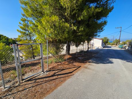 Land plot 500 sqm for sale