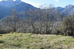 Land plot 790sqm for sale-Thasos » Chrisi Akti