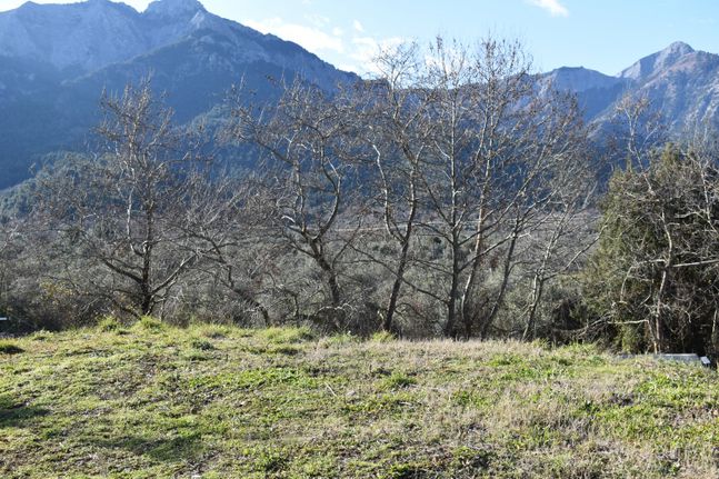 Land plot 790 sqm for sale, Kavala Prefecture, Thasos