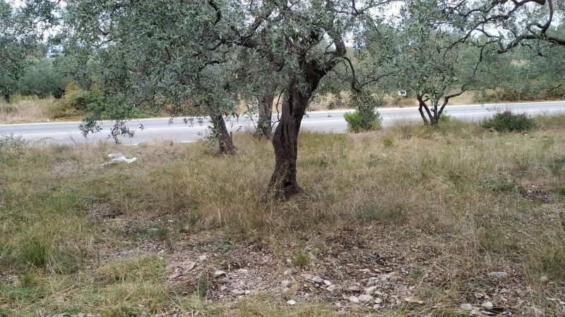 Αγροτεμάχια 3.760 τ.μ. πρός πώληση, Ν. Καβάλας, Θάσος