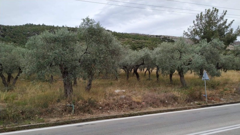 Αγροτεμάχια 3.760 τ.μ. πρός πώληση, Ν. Καβάλας, Θάσος