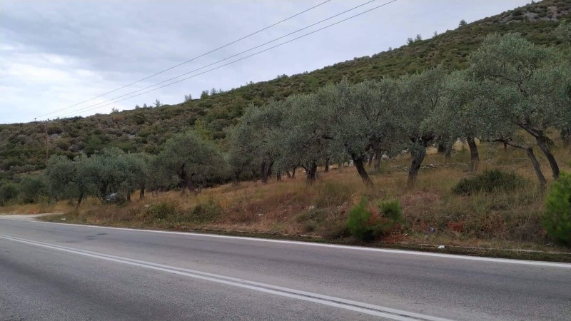 Αγροτεμάχια 3.760 τ.μ. πρός πώληση, Ν. Καβάλας, Θάσος
