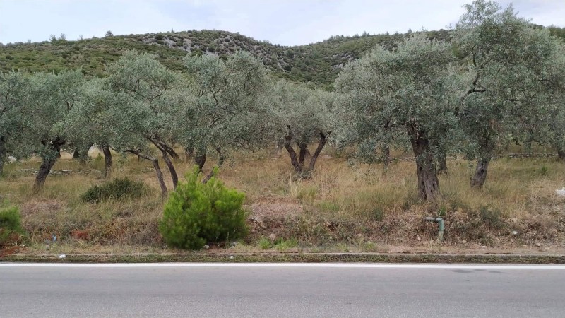 Αγροτεμάχια 3.760 τ.μ. πρός πώληση, Ν. Καβάλας, Θάσος