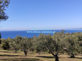 Αγροτεμάχια 18.626 τ.μ. για πώληση