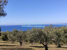 Parcel 18.626sqm for sale-Sithonia » Neos Marmaras