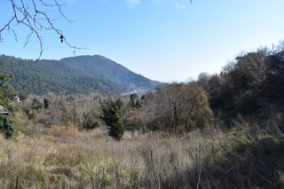 Αγροτεμάχια 6.532 τ.μ. για πώληση, Ν. Καβάλας, Θάσος-thumb-1