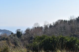 Αγροτεμάχια 6.532 τ.μ. για πώληση, Ν. Καβάλας, Θάσος-thumb-3