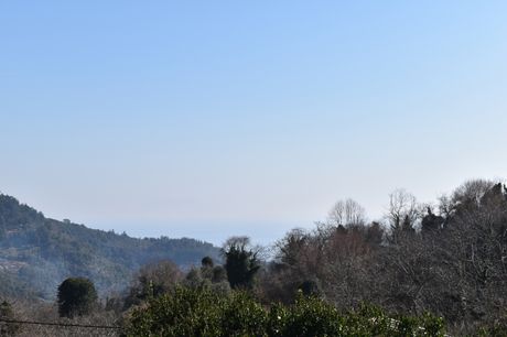 Αγροτεμάχια 6.532τ.μ. για πώληση-Θάσος » Παναγιά