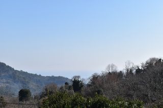 Αγροτεμάχια 6.532 τ.μ. για πώληση