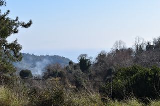 Αγροτεμάχια 6.532 τ.μ. για πώληση, Ν. Καβάλας, Θάσος-thumb-6