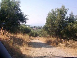 Οικόπεδο 75.000 τ.μ. για πώληση, Αχαΐα, Μεσσατίδα-thumb-3