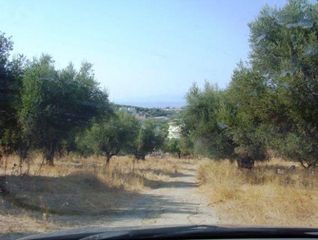 Οικόπεδο 75.000 τ.μ. για πώληση, Αχαΐα, Μεσσατίδα-thumb-2