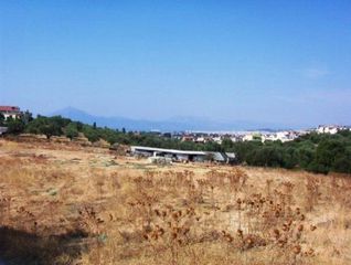 Οικόπεδο 75.000 τ.μ. για πώληση, Αχαΐα, Μεσσατίδα-thumb-6