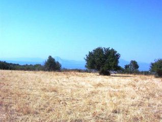 Οικόπεδο 75.000 τ.μ. για πώληση, Αχαΐα, Μεσσατίδα-thumb-5