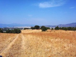 Οικόπεδο 75.000 τ.μ. για πώληση, Αχαΐα, Μεσσατίδα-thumb-1