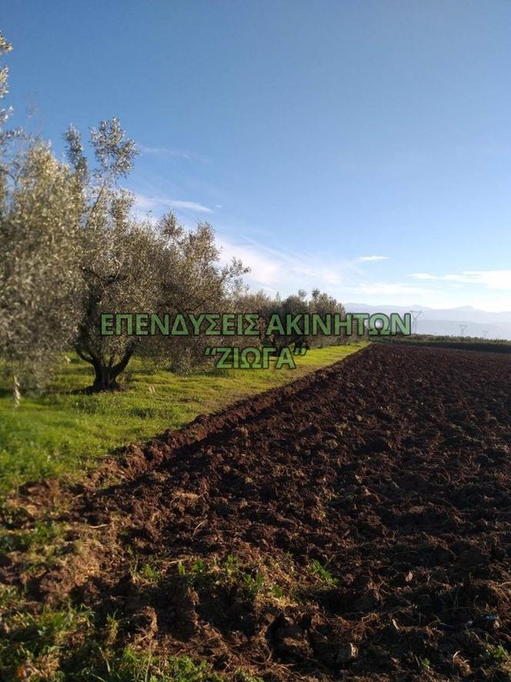 Αγροτεμάχια 9.360 τ.μ. προς πώληση, Κέντρο Νέας Αγχιάλου