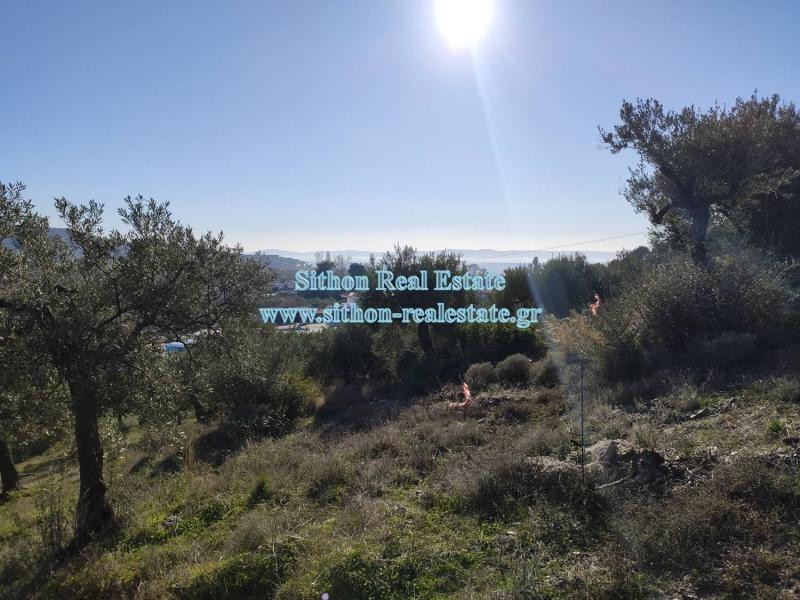Αγροτεμάχια 5.766 τ.μ. προς πώληση, Νέος Μαρμαράς