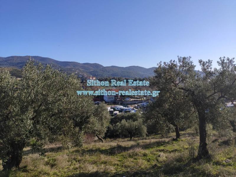 Αγροτεμάχια 5.766 τ.μ. προς πώληση, Νέος Μαρμαράς