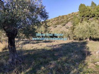 Αγροτεμάχια 5.766 τ.μ. για πώληση