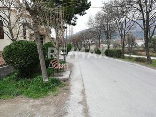 Οικόπεδο 1.818 τ.μ. για ενοικίαση, Μαγνησία, Βόλος-thumb-6