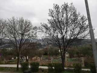 Οικόπεδο 1.818 τ.μ. για ενοικίαση, Μαγνησία, Βόλος-thumb-3