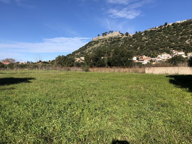 Οικόπεδο 1.240 τ.μ. πρός πώληση, Ν. Κεφαλονιάς, Κεφαλονιά
