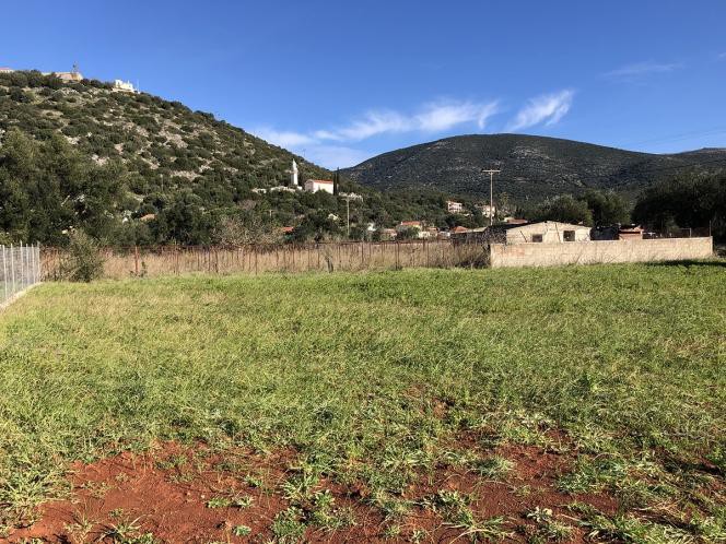 Οικόπεδο 1.240 τ.μ. πρός πώληση, Ν. Κεφαλονιάς, Κεφαλονιά