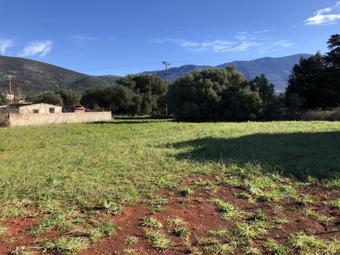 Οικόπεδο 1.240 τ.μ. πρός πώληση, Ν. Κεφαλονιάς, Κεφαλονιά