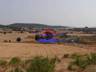 Αγροτεμάχια 3.527 τ.μ. για πώληση