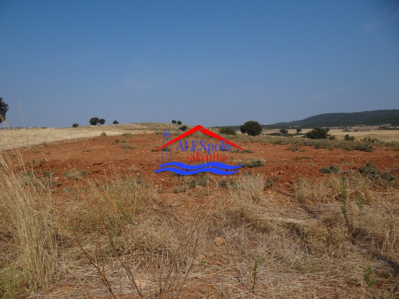 Αγροτεμάχια 3.527 τ.μ. πρός πώληση, Εβρος, Αλεξανδρούπολη