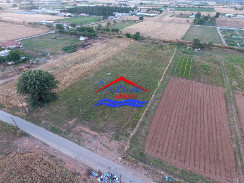 Αγροτεμάχια 1.265 τ.μ. πρός πώληση, Εβρος, Αλεξανδρούπολη