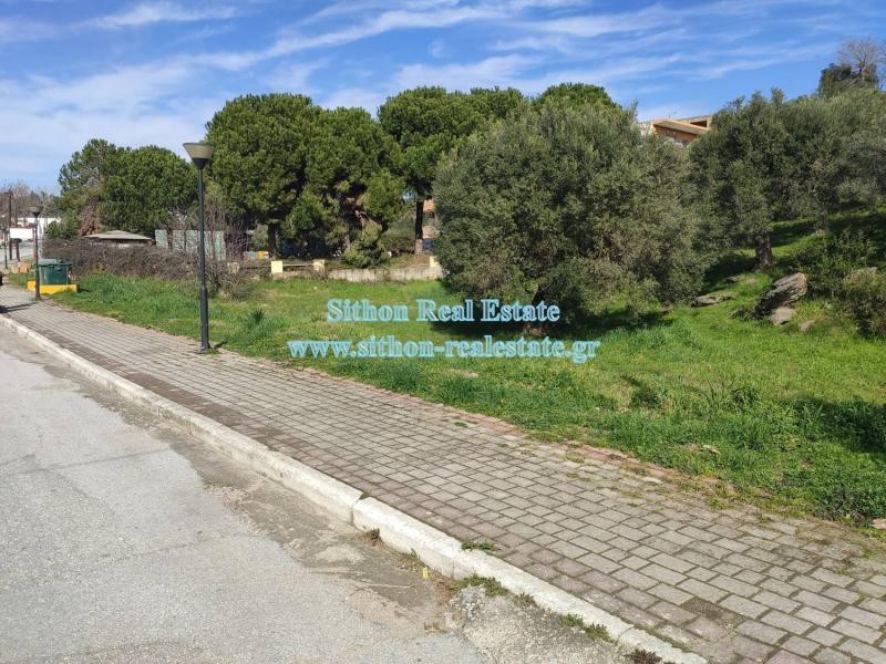 Αγροτεμάχια 2.663 τ.μ. προς πώληση, Νέος Μαρμαράς