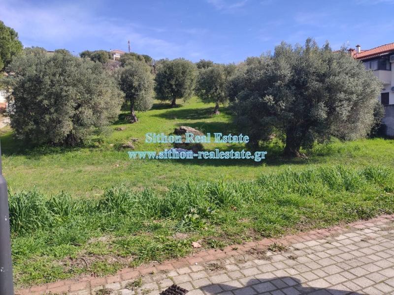 Αγροτεμάχια 2.663 τ.μ. προς πώληση, Νέος Μαρμαράς