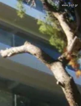 Διαμέρισμα 135τ.μ. για πώληση-Βούλα