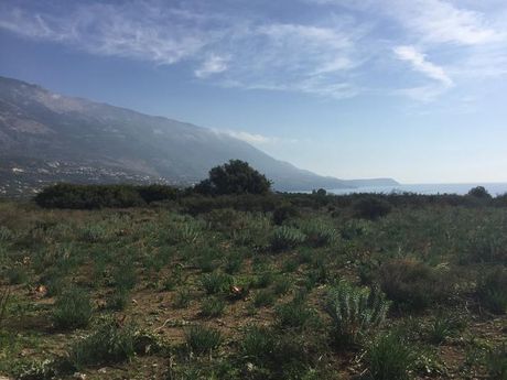 Parcel 30.000 sqm for sale