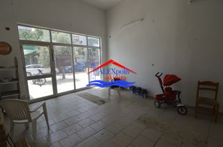 Κατάστημα 50 τ.μ. για ενοικίαση, Εβρος, Αλεξανδρούπολη-thumb-5