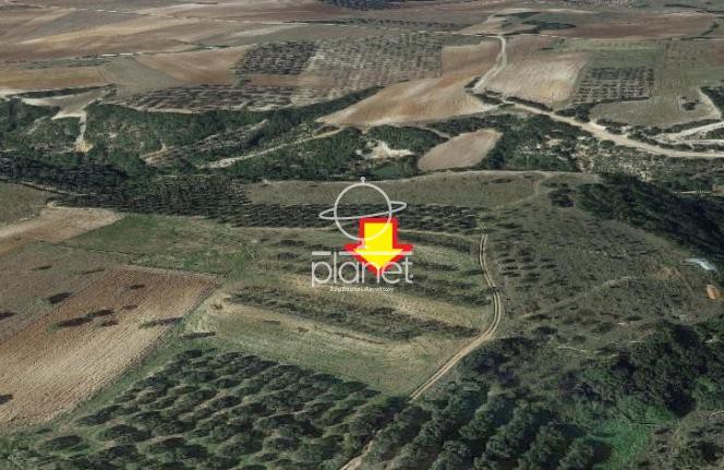 Αγροτεμάχια 13.500 τ.μ. προς πώληση, Πετράλωνα Τρίγλιας