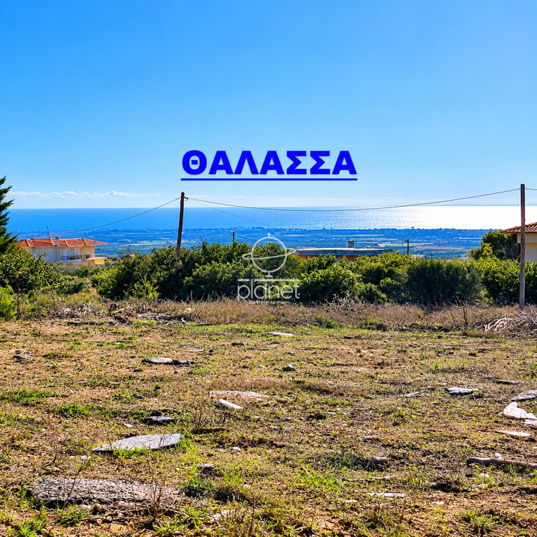 Αγροτεμάχια 2.000 τ.μ. προς πώληση, Νέα Τρίγλια