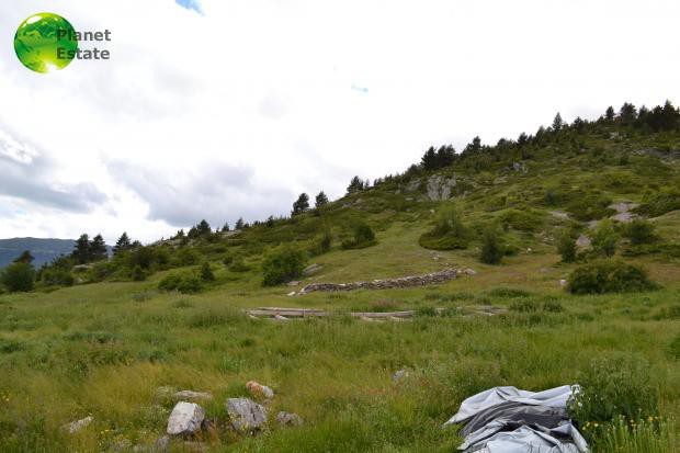 Parcel 2.000.000 sqm for sale, Pella, Aridaia