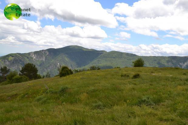 Parcel 2.000.000 sqm for sale, Pella, Aridaia