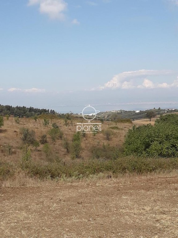 Αγροτεμάχια 20.500 τ.μ. πρός πώληση, Θεσσαλονίκη - Περιφ/Κοί Δήμοι, Επανομή