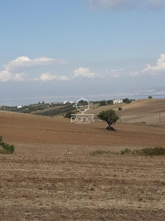 Αγροτεμάχια 20.500 τ.μ. πρός πώληση, Θεσσαλονίκη - Περιφ/Κοί Δήμοι, Επανομή