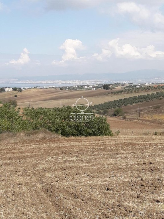 Αγροτεμάχια 20.500 τ.μ. πρός πώληση, Θεσσαλονίκη - Περιφ/Κοί Δήμοι, Επανομή