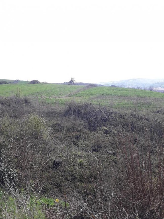 Αγροτεμάχια 85.000 τ.μ. προς πώληση, Άγιος Πρόδρομος