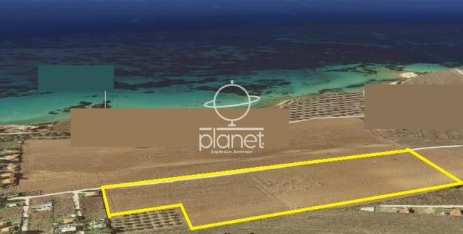 Αγροτεμάχια 4.000 τ.μ. για πώληση, Χαλκιδική, Μουδανιά