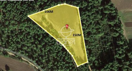 Αγροτεμάχια 13.900 τ.μ. για πώληση