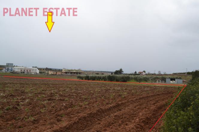 Αγροτεμάχια 12.500 τ.μ. προς πώληση, Νέα Φώκαια Κασσάνδρας